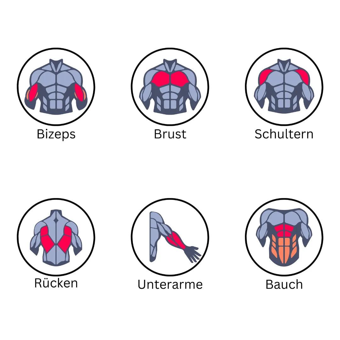 Homegym Chest Expander Trainingsmöglichkeiten: Bizeps, Brust, Schultern, Rücken, Unterarme, Bauch